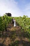 Hochzeit Manuela und Mario